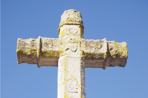 Cruz